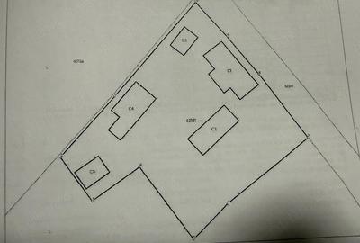 Casă cu Teren 935 Mp în Ribița - 4