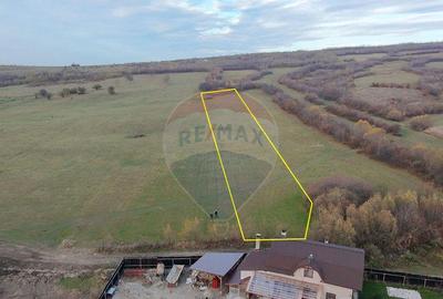 Teren de 5800 mp, în Purcăreni - 2