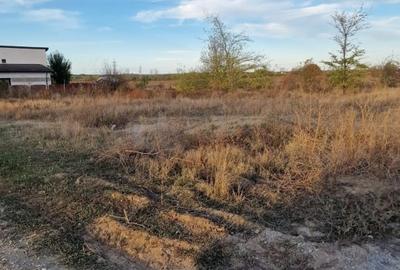 Teren Construcții intravilan de 427 mp, în Balotești - 2