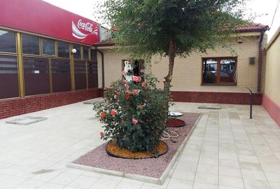 Spațiu comercial, de 142 mp, în Mihail Kogălniceanu - 1