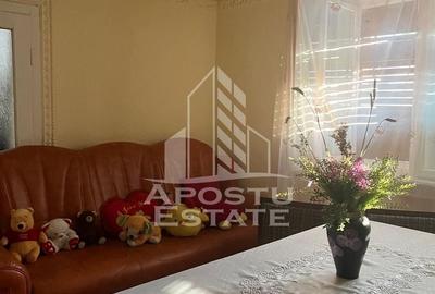 Casa individuala plus anexa, zona centrala in Faget - 21