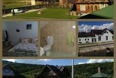 Pensiune agroturistica, pastravarie, 25 km de Brasov -proprietate speciala - 3