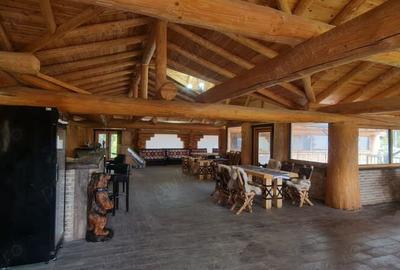 Casă în Valea Putnei - 9