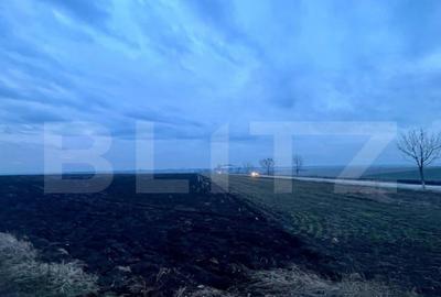 Oportunitate investi?ie, teren 5000 mp, toate utilita?ile - 3