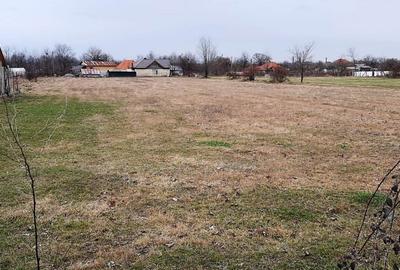 TEREN INTRAVILAN POLOVRAGI - STRADA IZVOARELE - 5