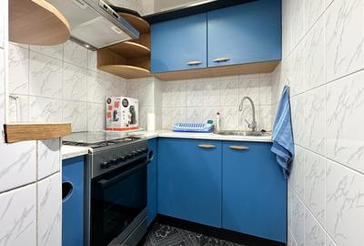 Prestanta in inima capitalei cu vedere la Dambovita, langa Metrou - 10