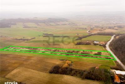 Teren de 13041 mp, în Sârbi - 2