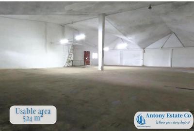 Hala Spatiu Depozit de inchiriat, Calea Clujului - Oradea - 2