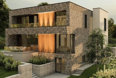 Teren 858 mp cu proiect de casa si PUZ Aprobat de vanzare in Faget - 2