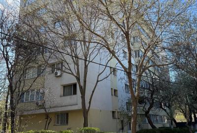 Apartament cu 2 camere semidecomandat în Parcul Circului - 2