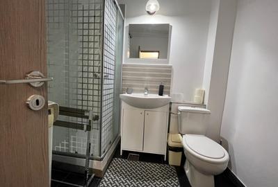 Apartament cu 1 camera, zona Centru - Palas - 8