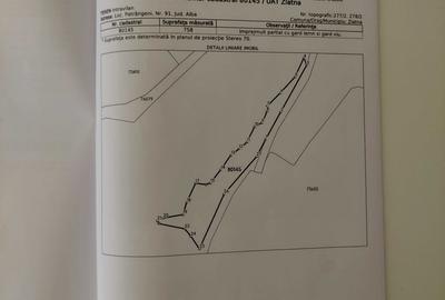 Casă cu 4 camere în Zlatna - 1