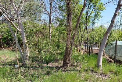 Teren de 3250 mp, în Central - 18