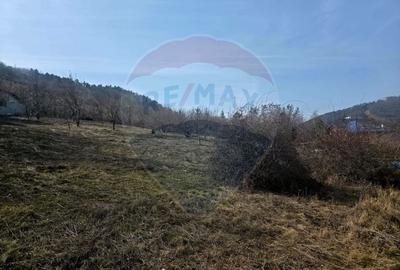 Teren Construcții intravilan de 1000 mp, în Calea Romanului - 2