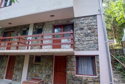Hotel/Pensiune, de 6 mp, în Lepșa - 3