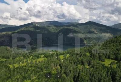 Teren Intravilan 4000 mp, Valea Draganului, - 1