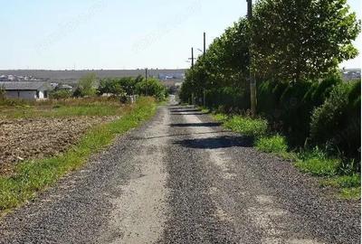 Teren de 5000 mp, în Valu lui Traian - 4