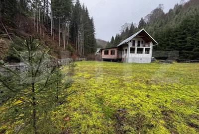 Cabana cu 4 camere, zona ?ugag - Tau Bistra - 7