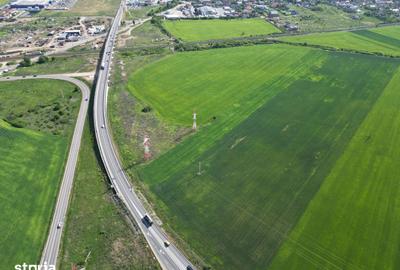 Teren de 28089 mp, în Micălaca - 18
