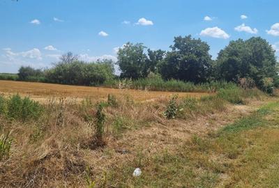 Teren de 5000 mp, în Exterior Vest - 2