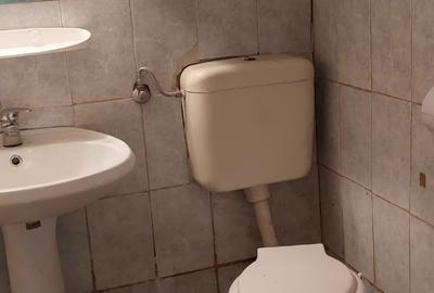 Casa singur curte, diverse activitati, locuit - 5