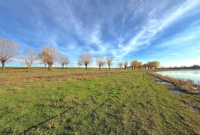 Loturi Intravilan Rate pe Lac Com Berceni | utilitati in zona | #LG14BF - 16