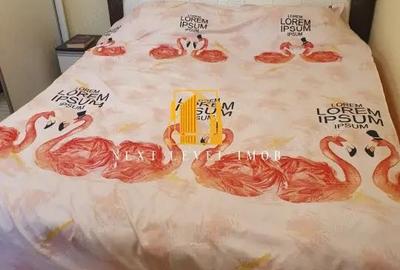 Apartament cu 2 camere semidecomandat în Banat - 3