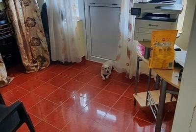 Luica, str. Sinei, sector 5, particular - 3