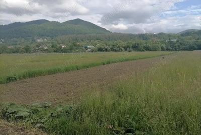 Teren 3000 mp intravilan Viisoara - 1
