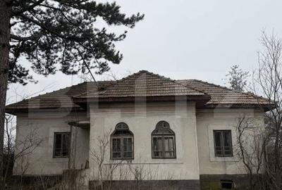 Casă cu 3 camere cu Teren 2714 Mp în Dobrești - 1