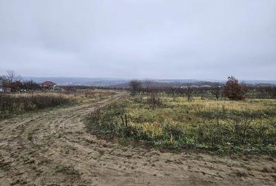 Teren de 586 mp, în Paleu - 6