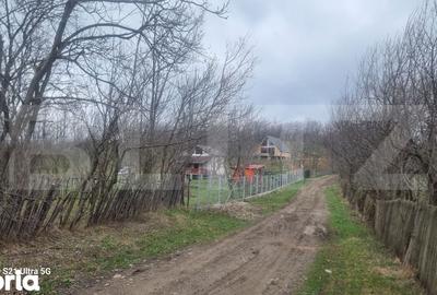 Teren de 3781 mp, în Izvoarele - 11