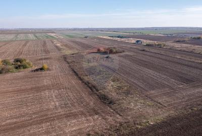 Vanzare teren intravilan 7,400 mp Sabareni / Strada Primaverii - 8