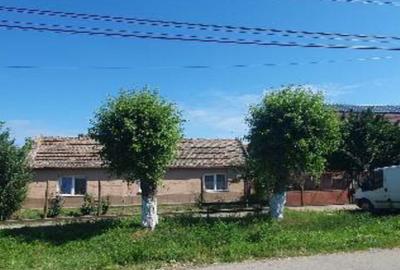 Cota 1/2 din casa situata in loc. Carpinis, jud. Timis - 1