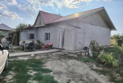 Casă cu 3 camere cu Teren 3300 Mp în Ștefănești - 1