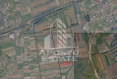 Teren de 11600 mp, în Moșnița Nouă
