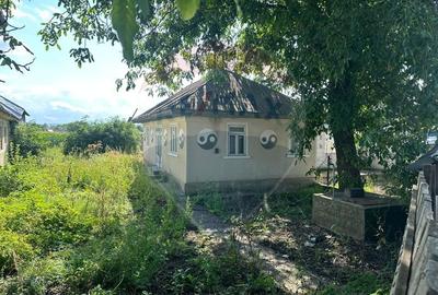 Teren intravilan 3.765 mp cu casa - Bodesti de Jos - 9