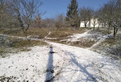 Teren de 5950 mp, în Scorțeni - 3