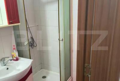 Apartament cu 2 camere semidecomandat în Central - 4