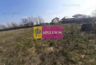 Teren de 4800 mp, în Glina - 13