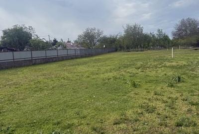 Teren de 1000 mp, în Gruiu - 3