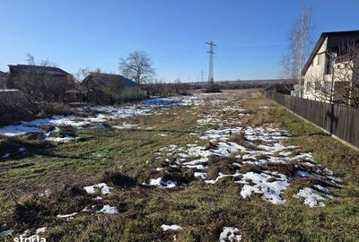 Teren de 5000 mp, în Răzvad - 4