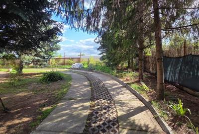 Casa cu mansarda de vanzare – zona Lucian Blaga - 3