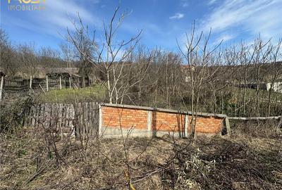 Teren intravilan de 11400 mp, în Corpadea - 12