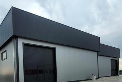 Vanzare depozit/hala/spatiu industrial Domnesti - Centura, Ilfov - 3