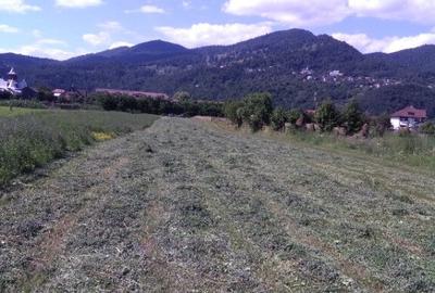 Teren de vanzare - 2