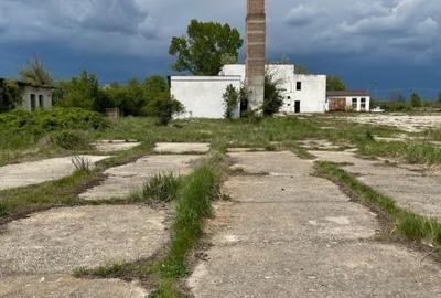 Stolnici Primărie 3,6 HA, platformă betonată, împrejmuire, utilități - 3