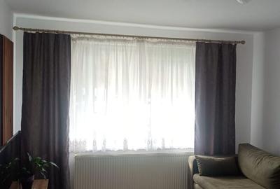 Apartament cu 2 camere decomandat în Terezian - 5