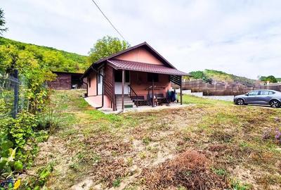 Casă cu 2 camere cu Teren 2647 Mp în Valea Mare - 6