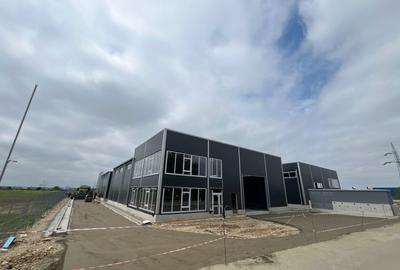 Hala de Inchiriat 600mp - Pallady - Parc Logistic 2026 - 5